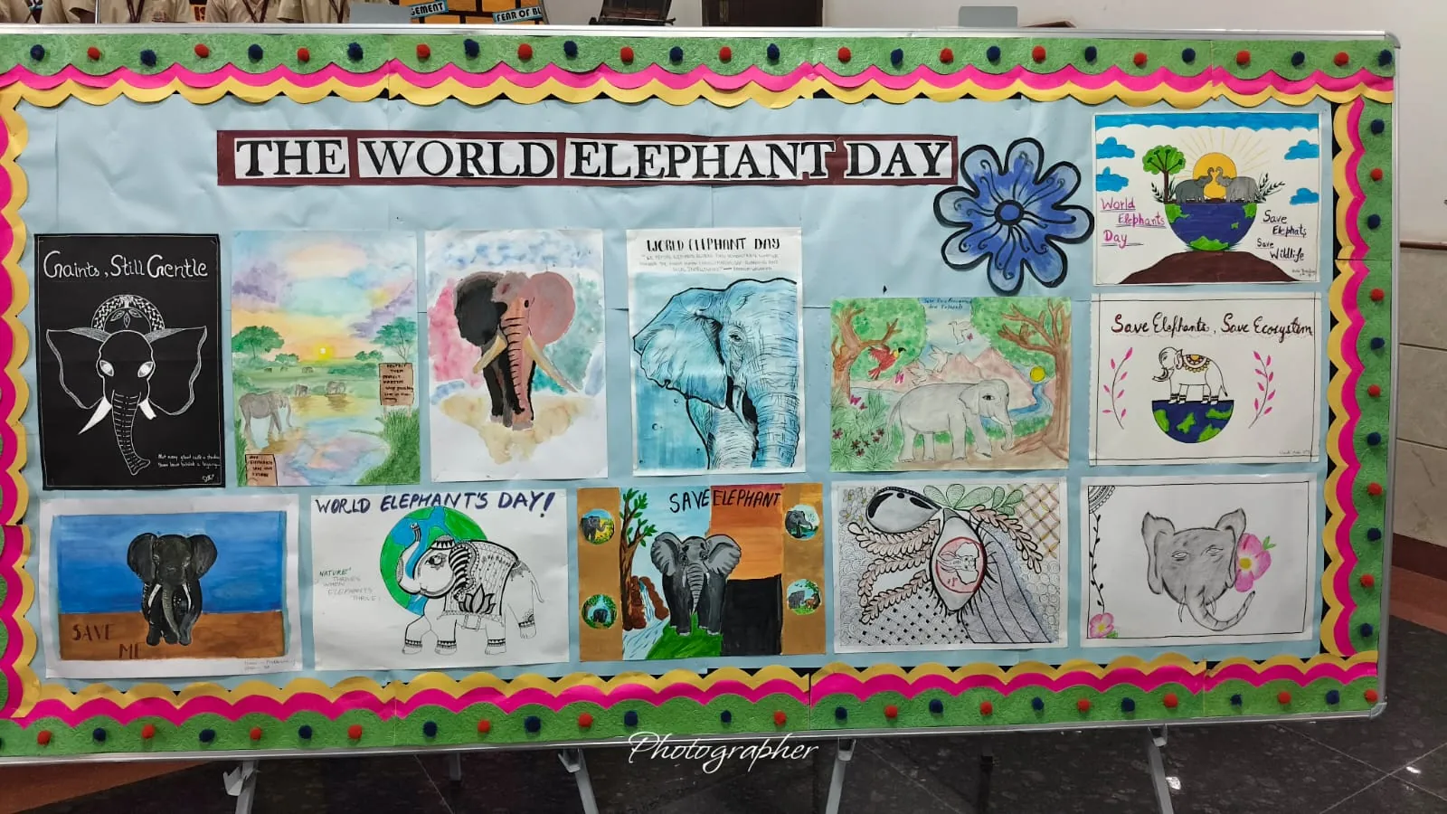 Student paintings on a World Elephant Day display board at SKS World School, Greater Noida West